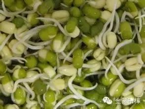 什么食物补钙最好