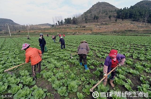 山东省富硒农产品网