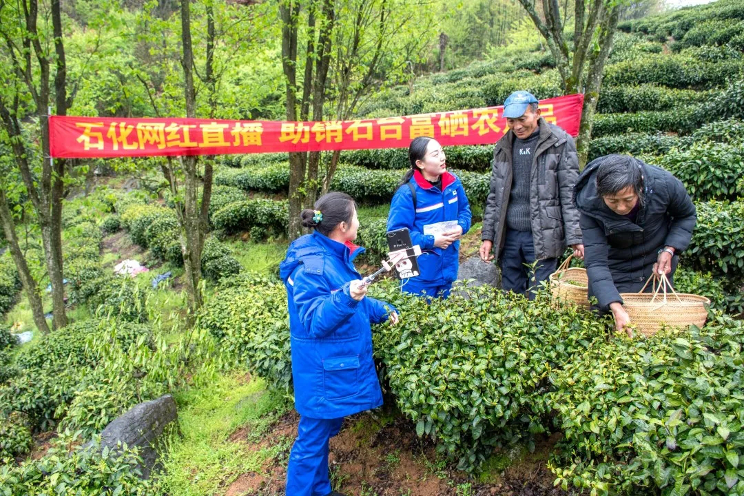 富硒茶销售技巧视频