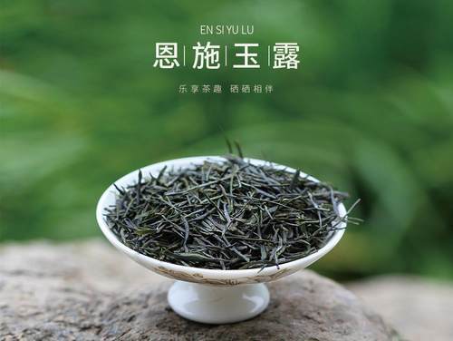 辽宁富硒茶恩施玉露