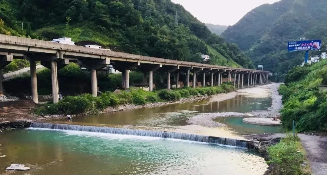 河北富硒毛坝茶加工