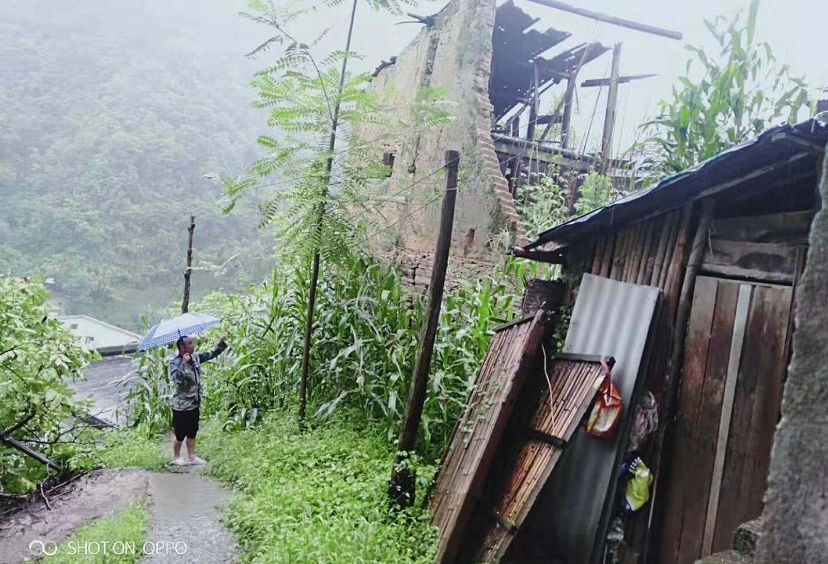 河北富硒毛坝茶加工