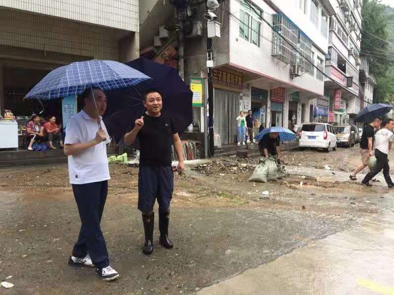 河北富硒毛坝茶加工