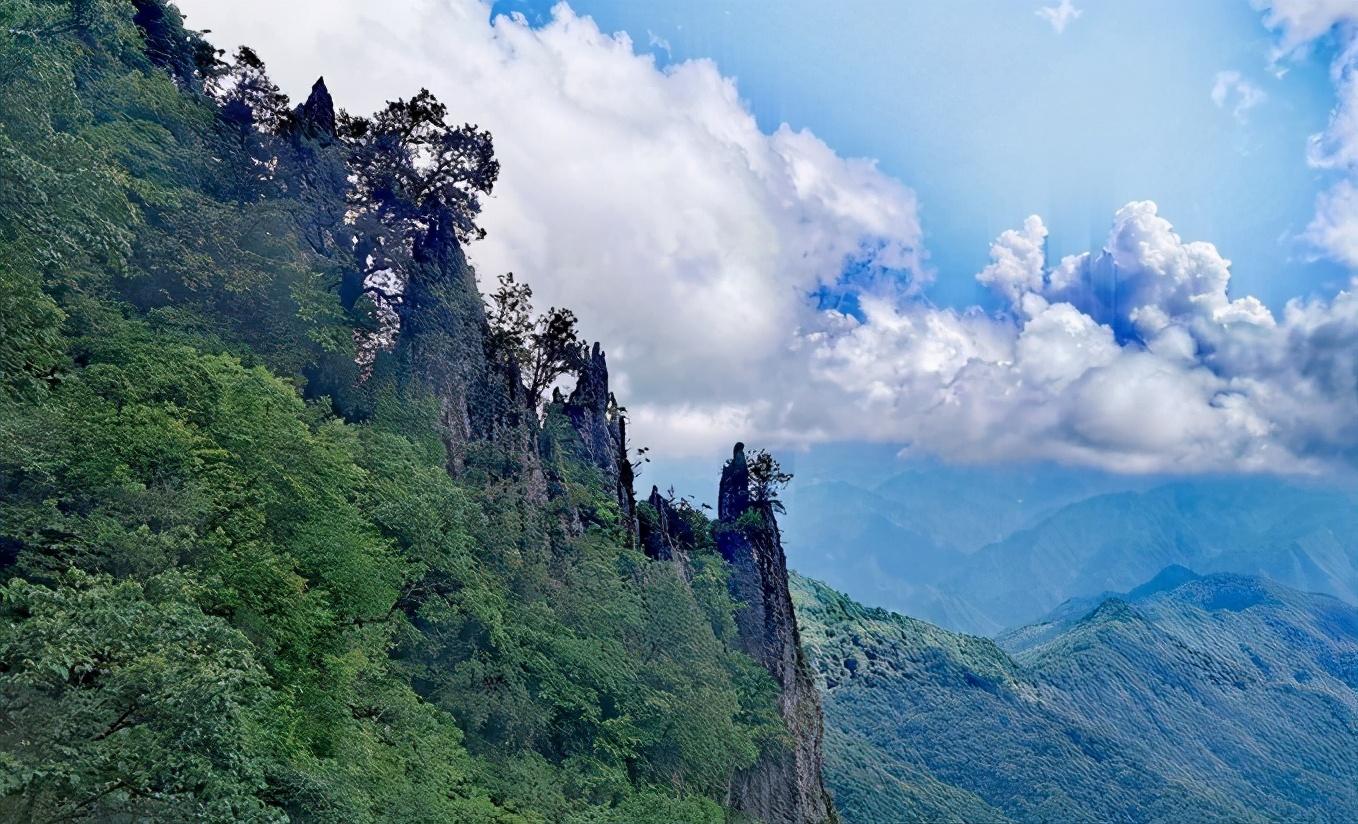 南宫山富硒茶介绍语