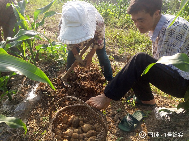 每天喝富硒茶好吗吗