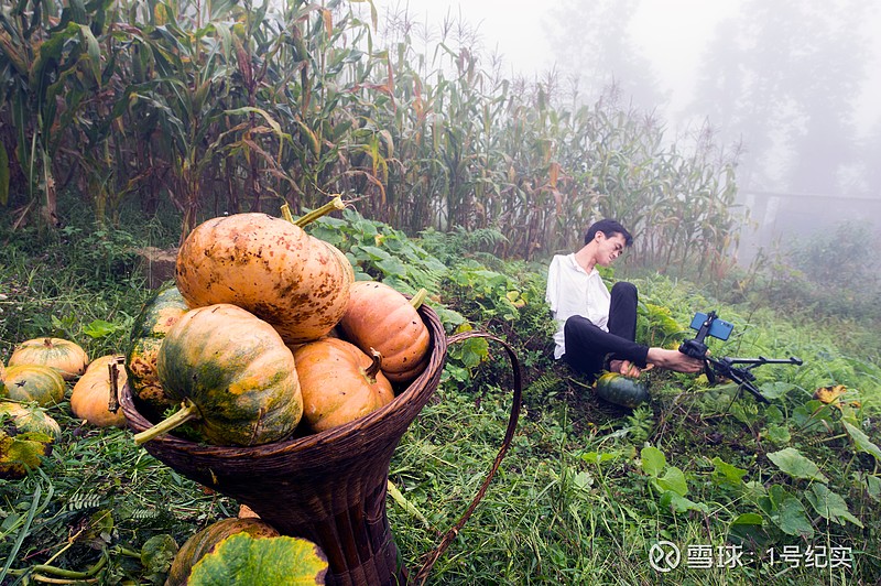 每天喝富硒茶好吗吗