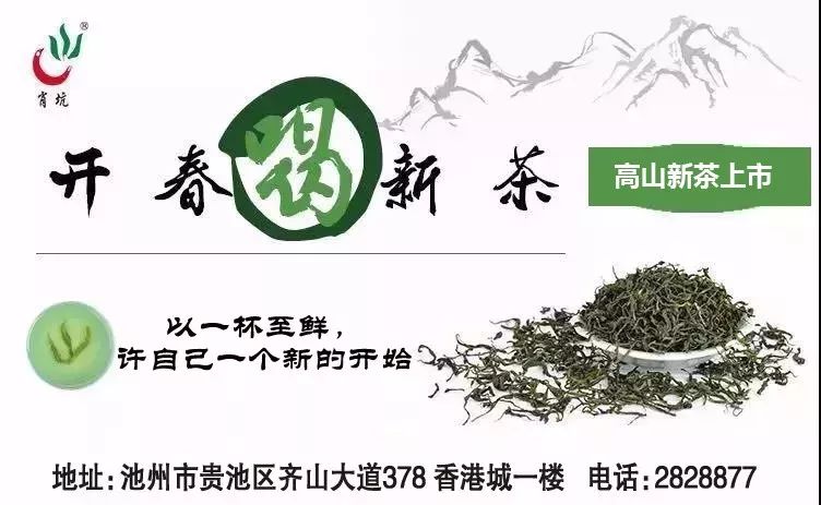 富硒茶的上市季节是