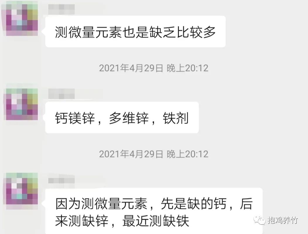 儿童测微量元素挂哪科