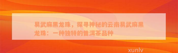 易武麻黑龙珠，探寻神秘的云南易武麻黑龙珠：一种独特的普洱茶品种