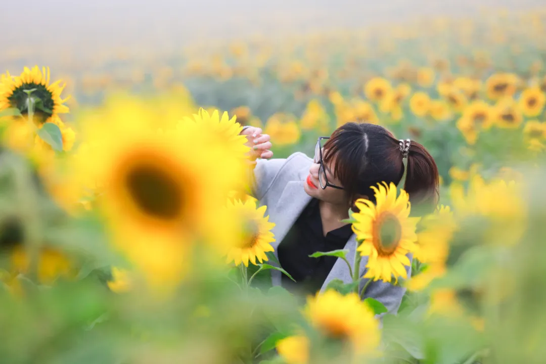 补钙蔬菜前十名