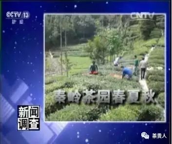 四大富硒茶乡是哪里