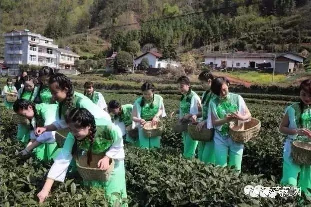 四大富硒茶乡是哪里