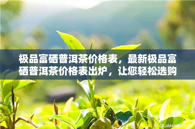 极品富硒普洱茶价格表，最新极品富硒普洱茶价格表出炉，让您轻松选购心仪好茶！