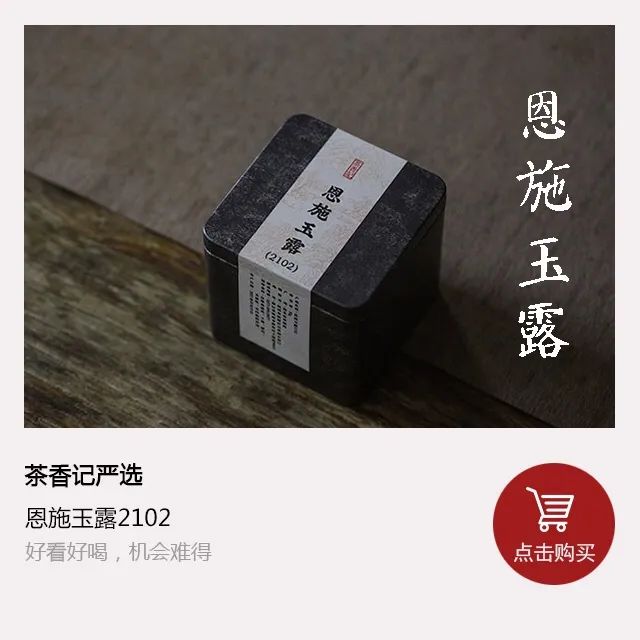 恩施富硒茶 玉露茶