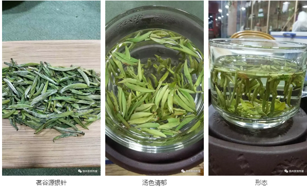 紫阳富硒茶硒健银针