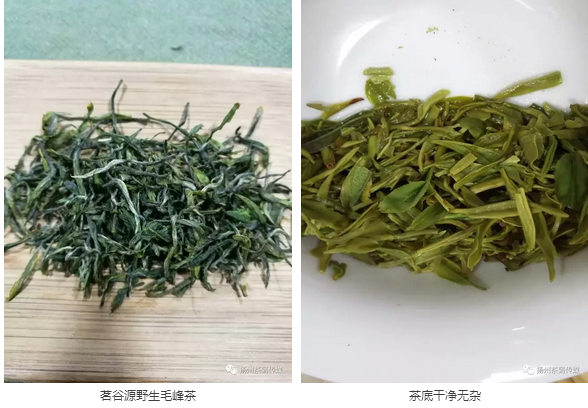 紫阳富硒茶硒健银针