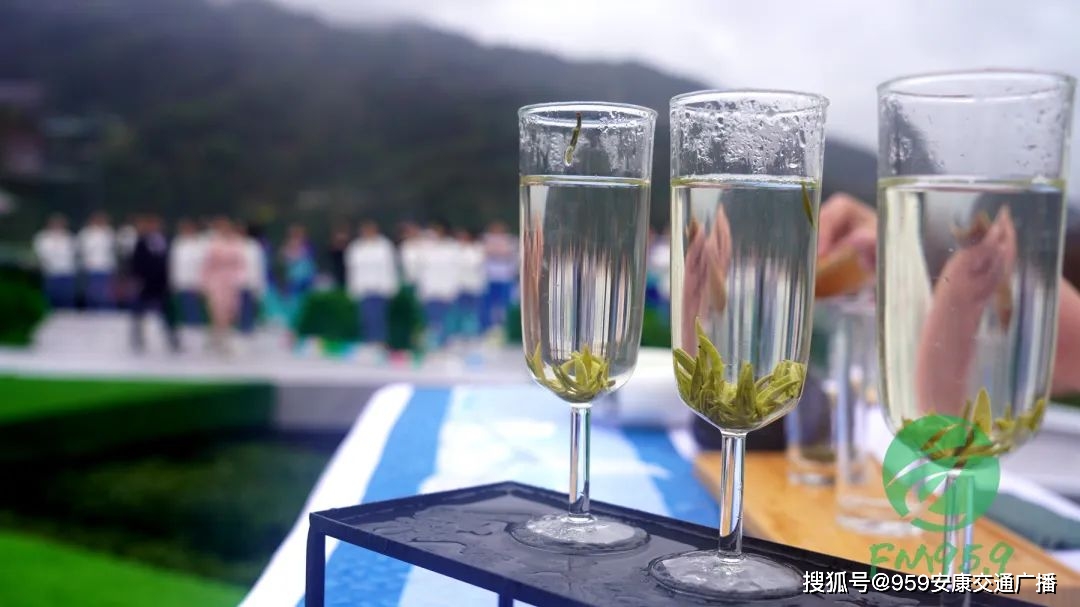 2022紫阳富硒茶