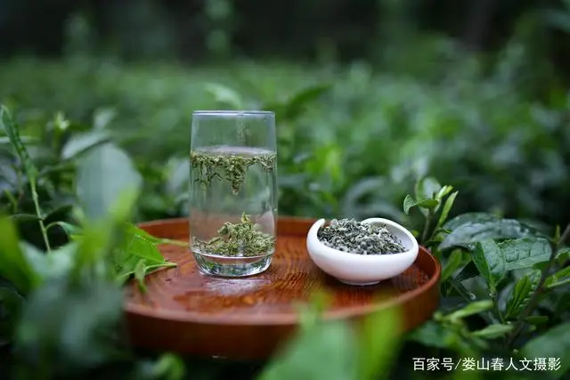 句容凤冈富锌富硒茶