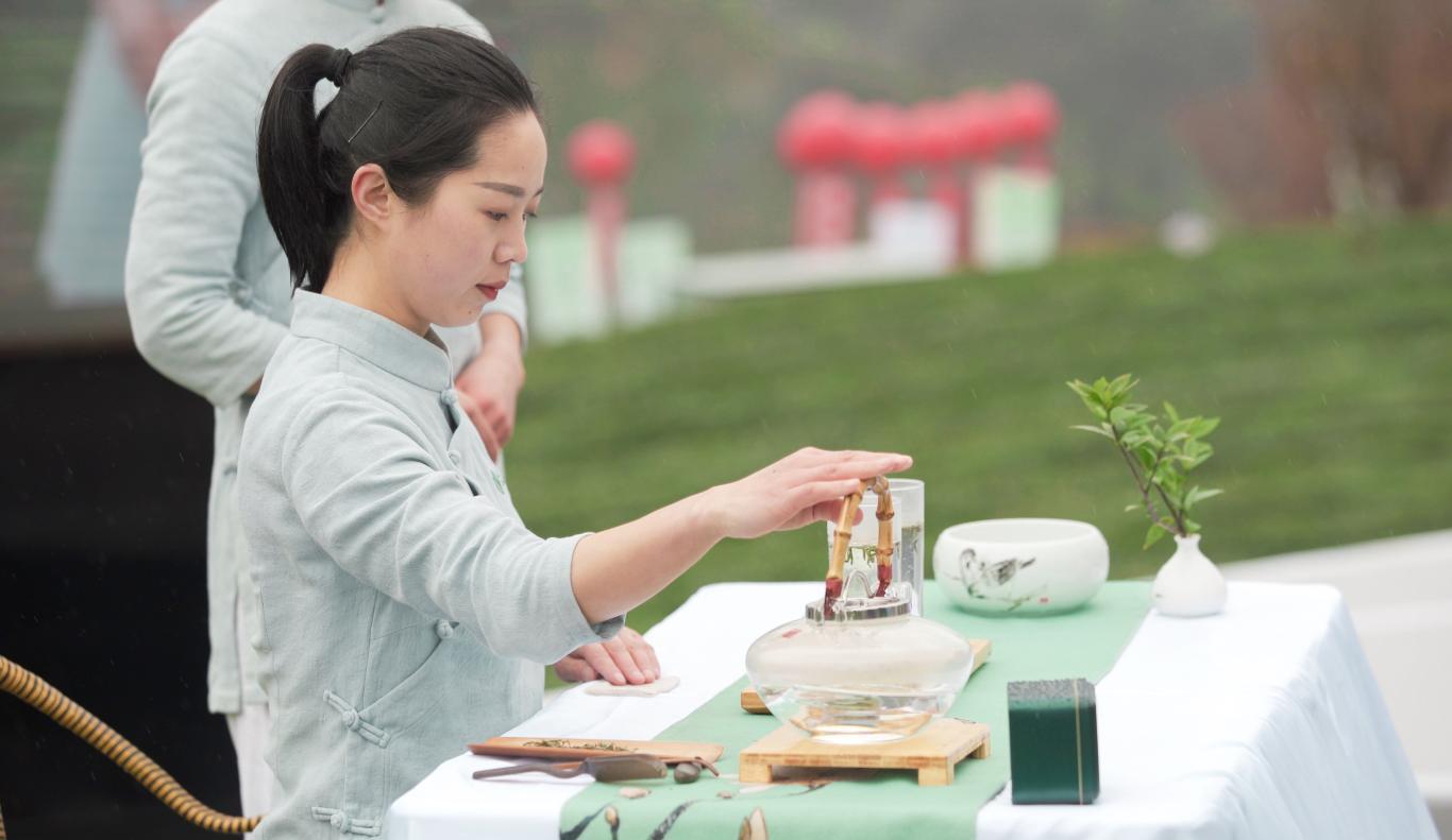 茶香满屋紫阳富硒茶