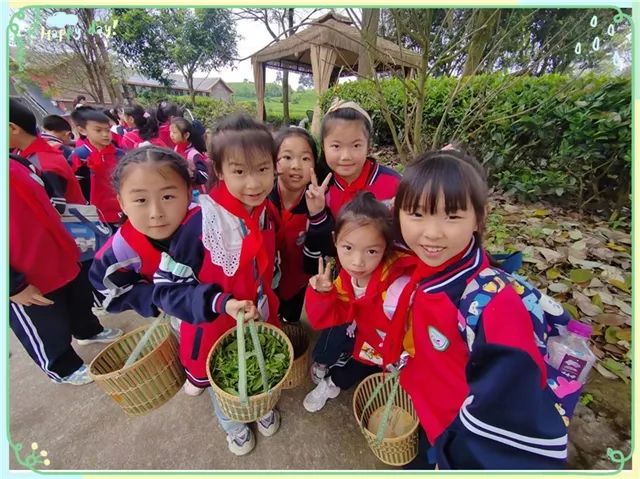 开阳富硒茶是什么茶