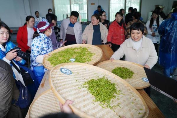 茶香满屋紫阳富硒茶