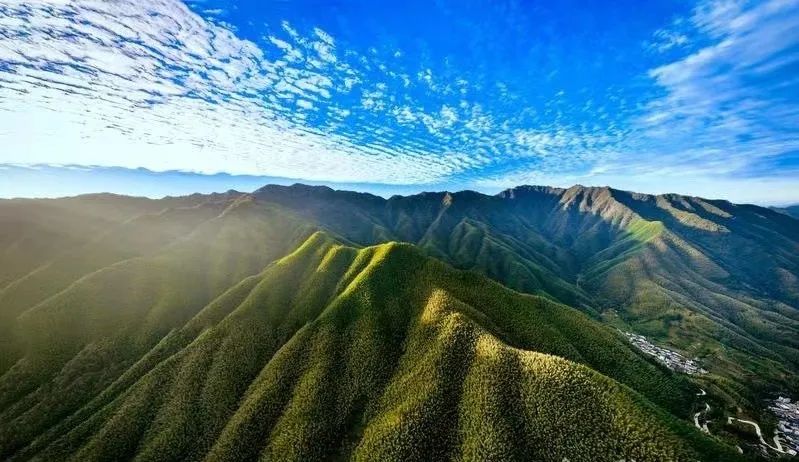 黄山富硒茶和歙县茶