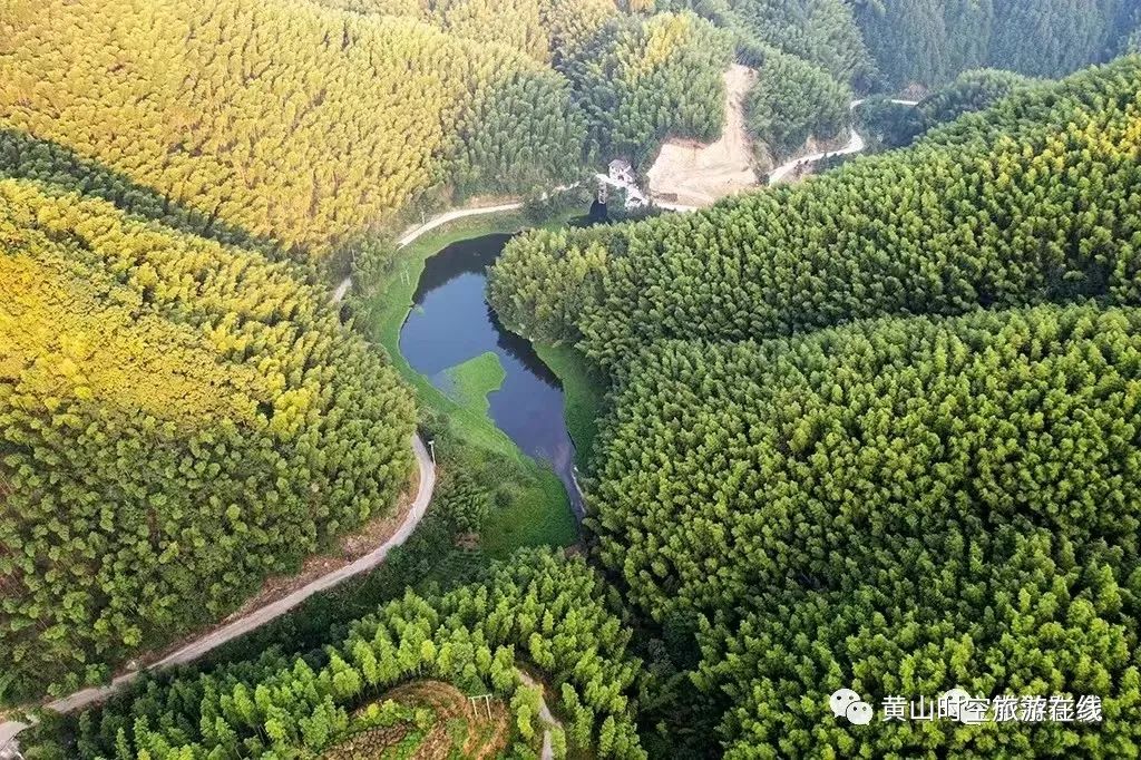 黄山富硒茶和歙县茶