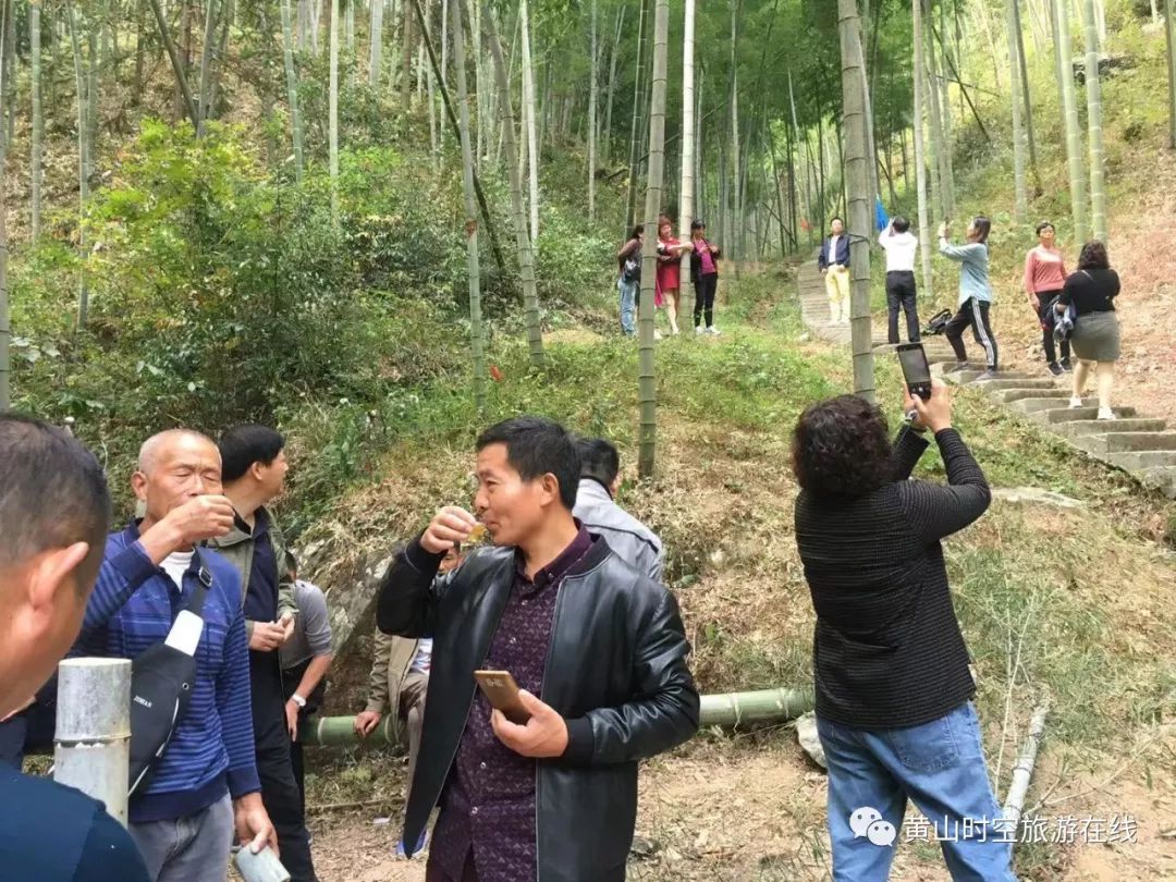 黄山富硒茶和歙县茶