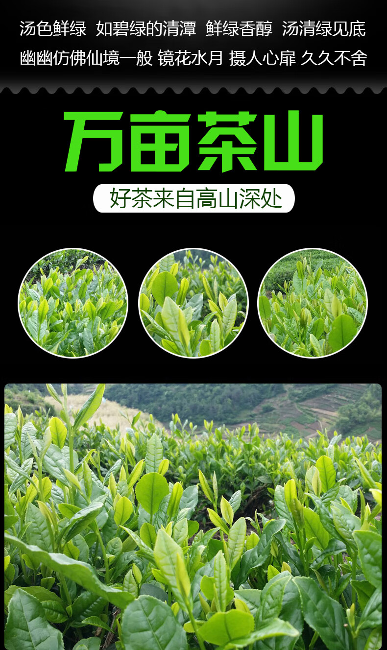 安康富硒茶和平利茶