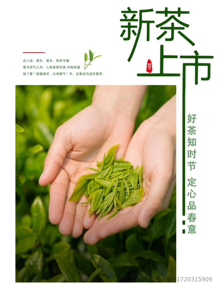 紫阳茶富硒茶的区别