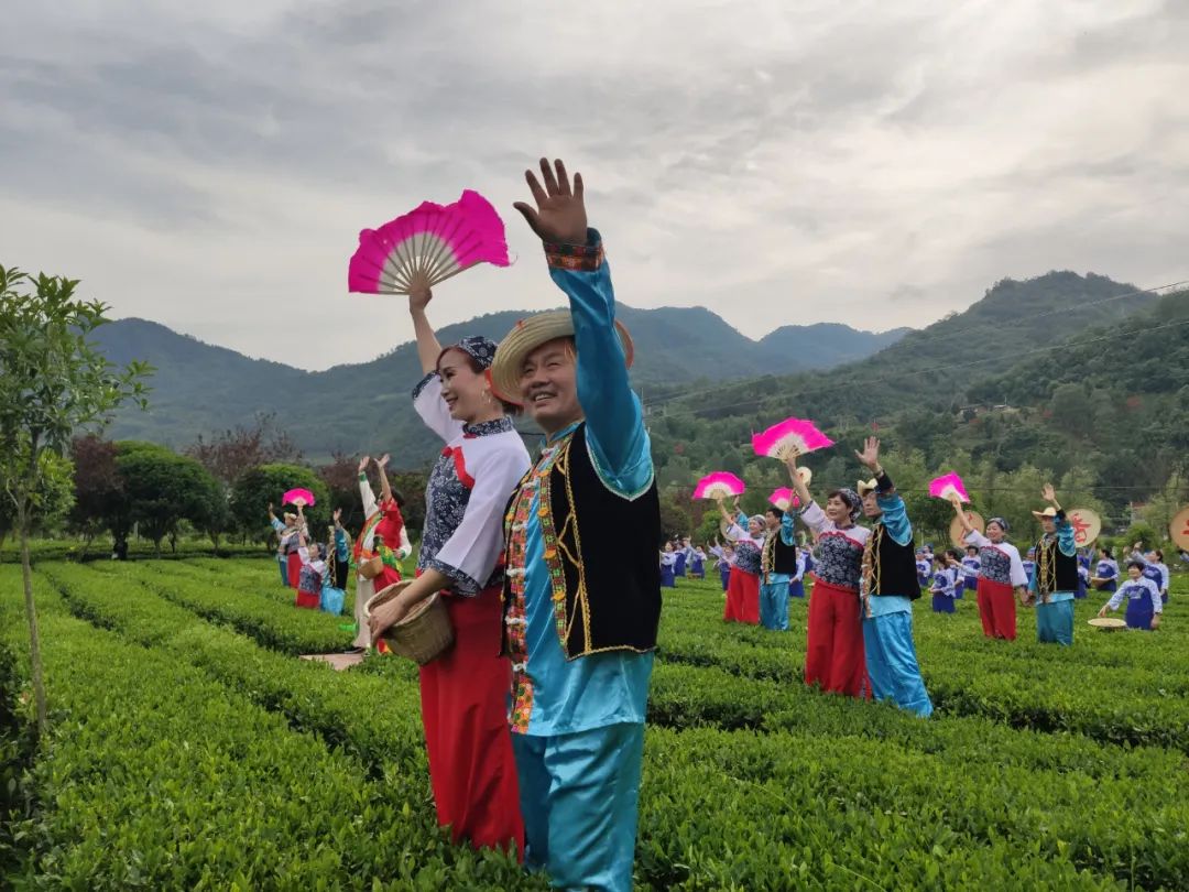 平利女娲茶是富硒茶