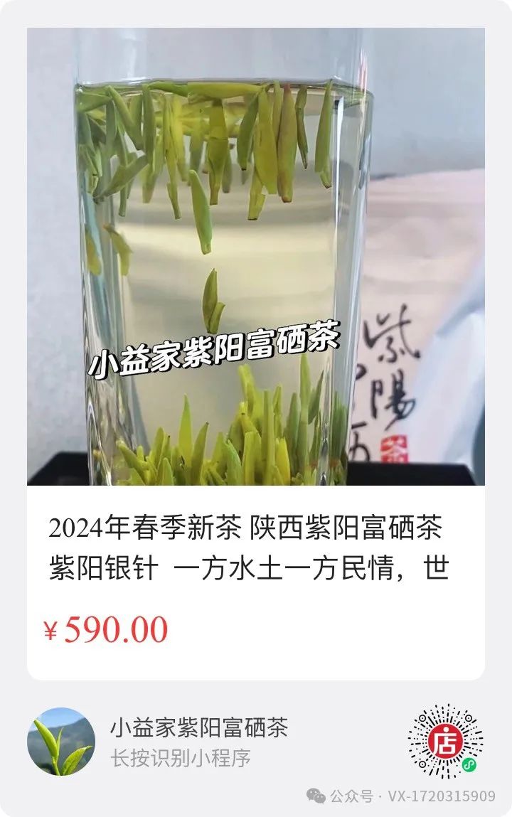 陕西富硒茶哪种最好