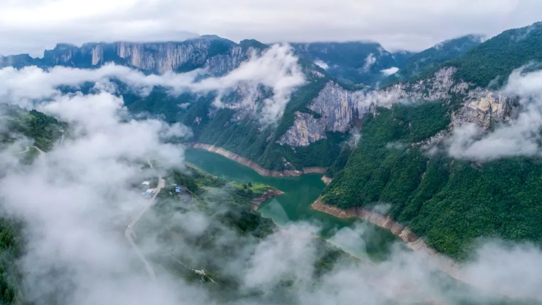 湖北富硒茶玉露工厂