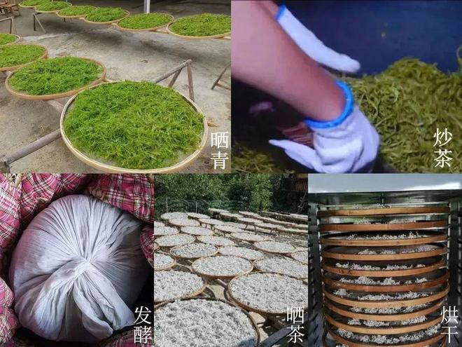 富硒黄金茶价格多少