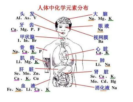 人体需要哪些微量元素