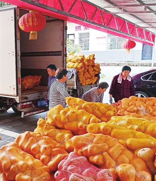 安康富硒茶宣传手册