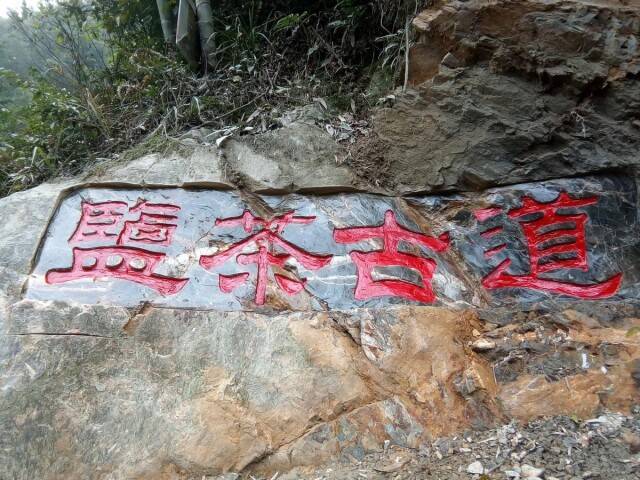 高山富硒生态有机茶