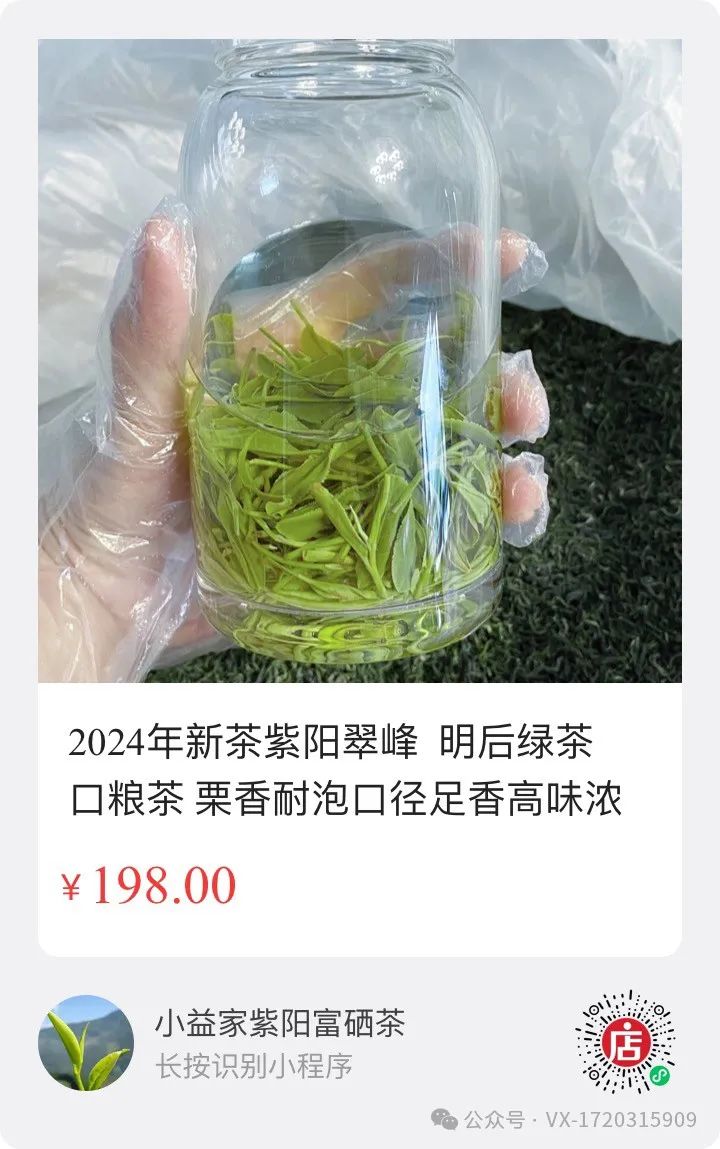 陕西茶叶紫阳富硒茶