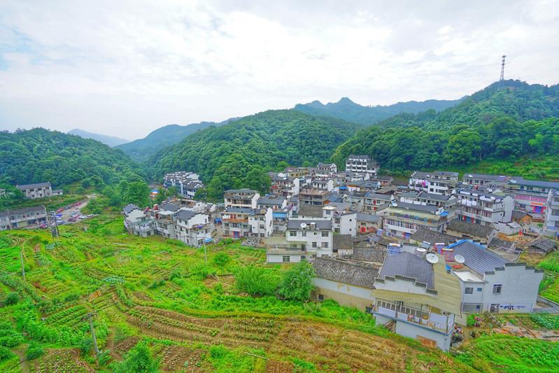 石台天方富硒茶公司