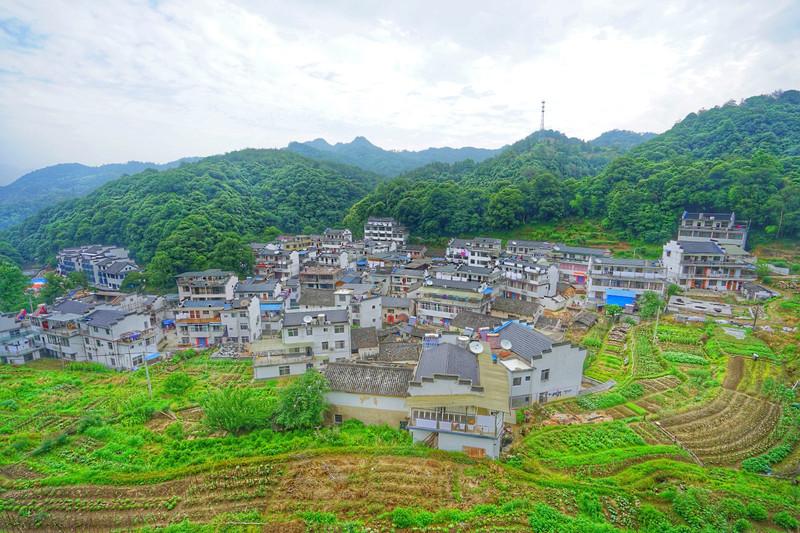 石台天方富硒茶公司