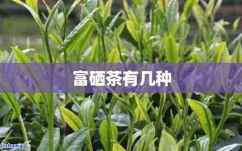 富硒茶有哪些茶类，探秘富硒茶：熟悉富含硒元素的各类茶叶