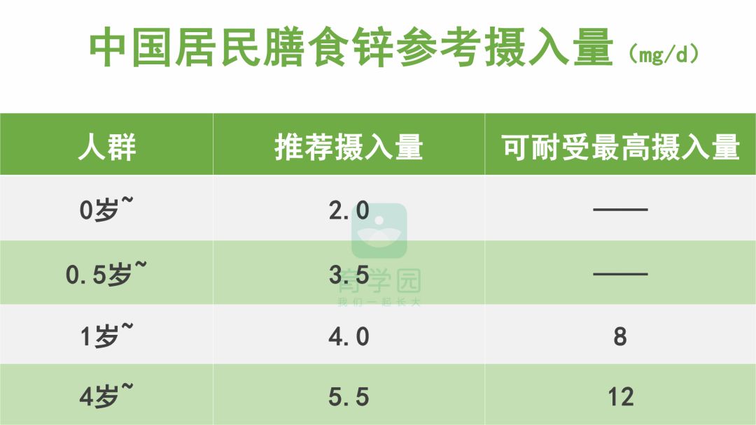 食补锌什么食物最佳