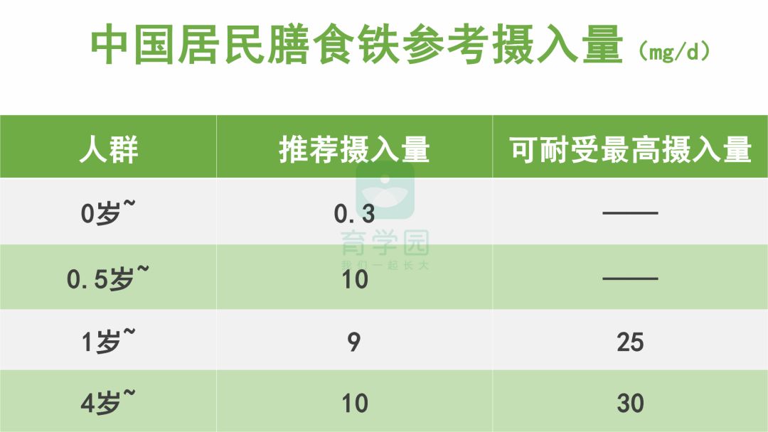 食补锌什么食物最佳