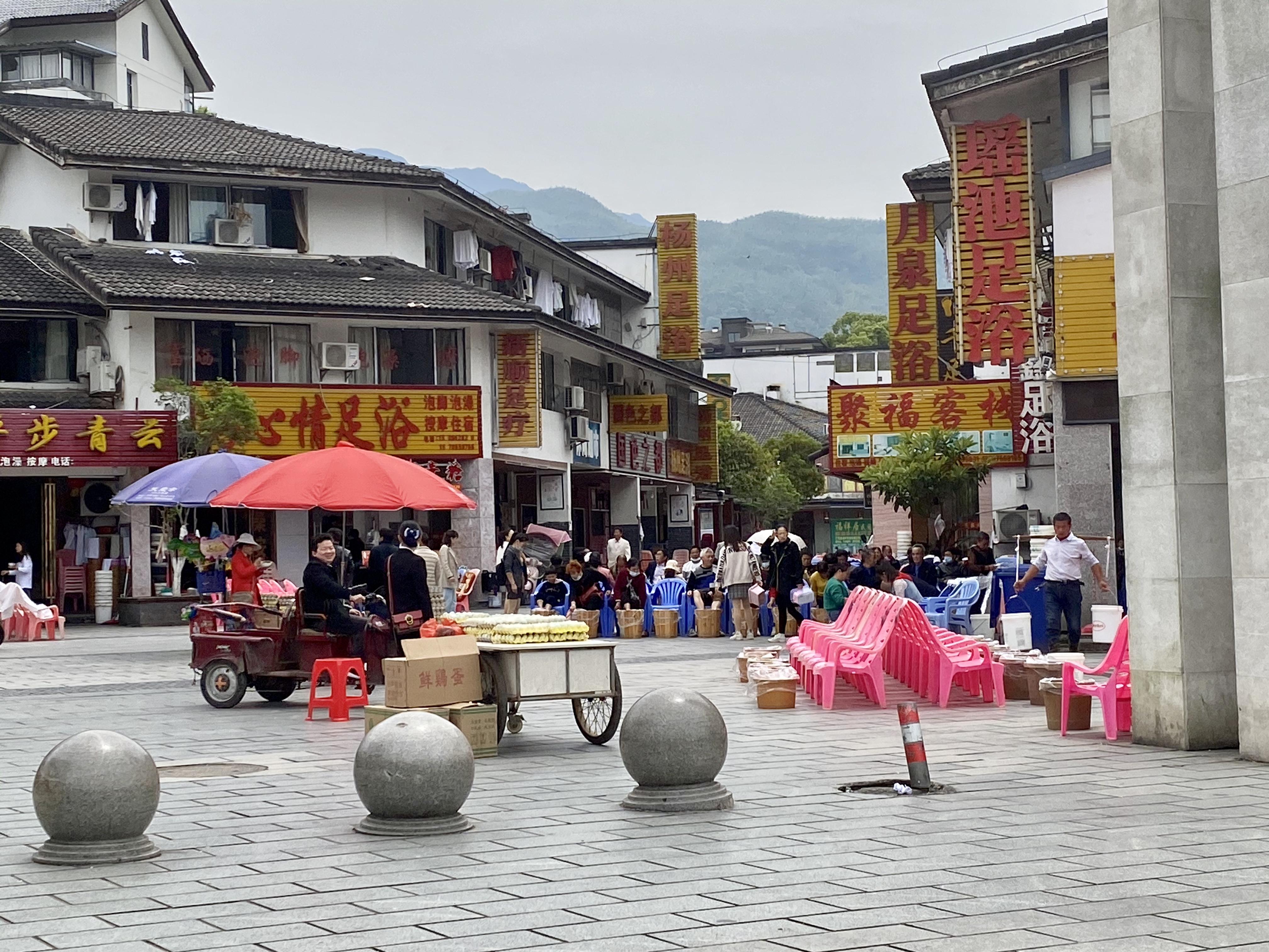 青龙春 富硒茶价格