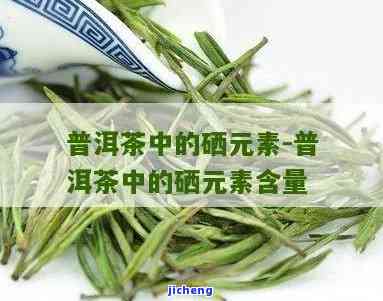 什么茶含硒丰富-什么茶含硒丰富最多