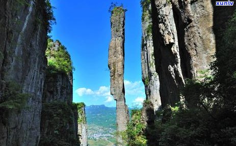 恩富硒茶是不是绿茶，揭秘恩富硒茶：它是绿茶吗？