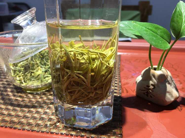 紫阳富硒茶采摘季节