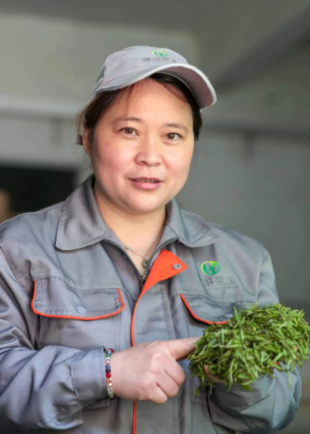 紫阳富硒茶采摘季节