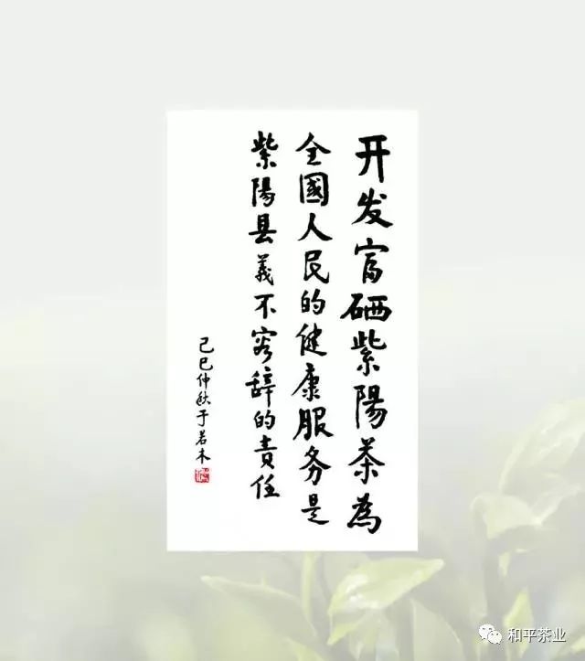 紫阳富硒茶宣传文章