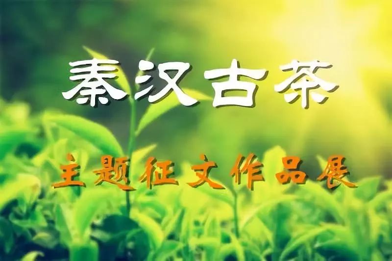 紫阳富硒茶现存问题